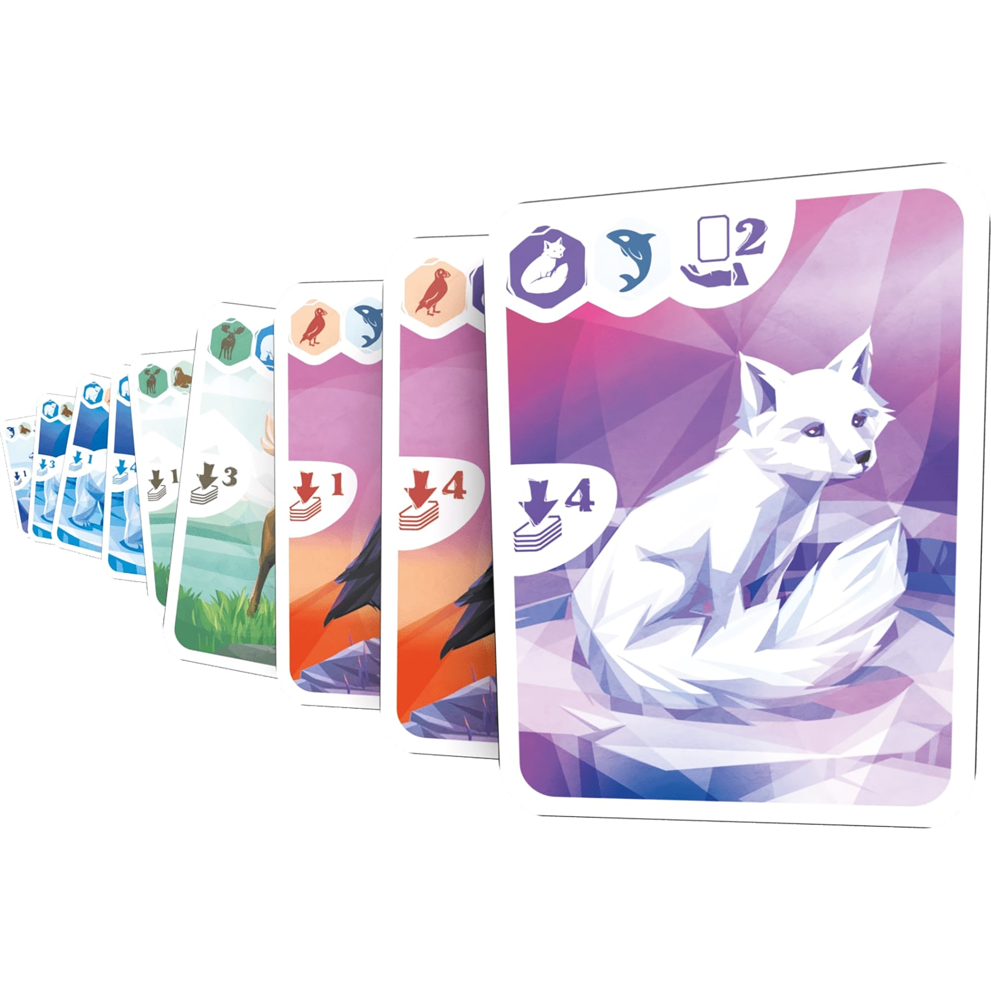 Ludonaute: Arctic - Strategy Card Game, Animal Set Collection & Hand Management, Clever Gameplay, Utilize Animal Powers, Ages 10+, 2-4 Players, 20 Min