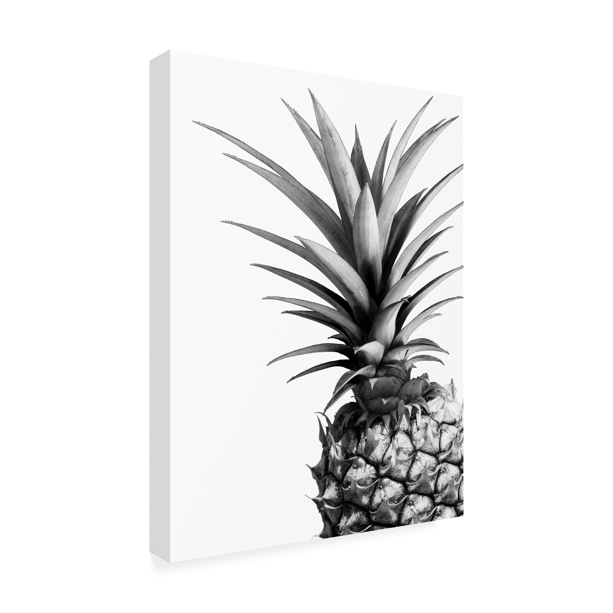 Trademark Fine Art 'Pineapple (BW)' Canvas Art by Lexie Gree