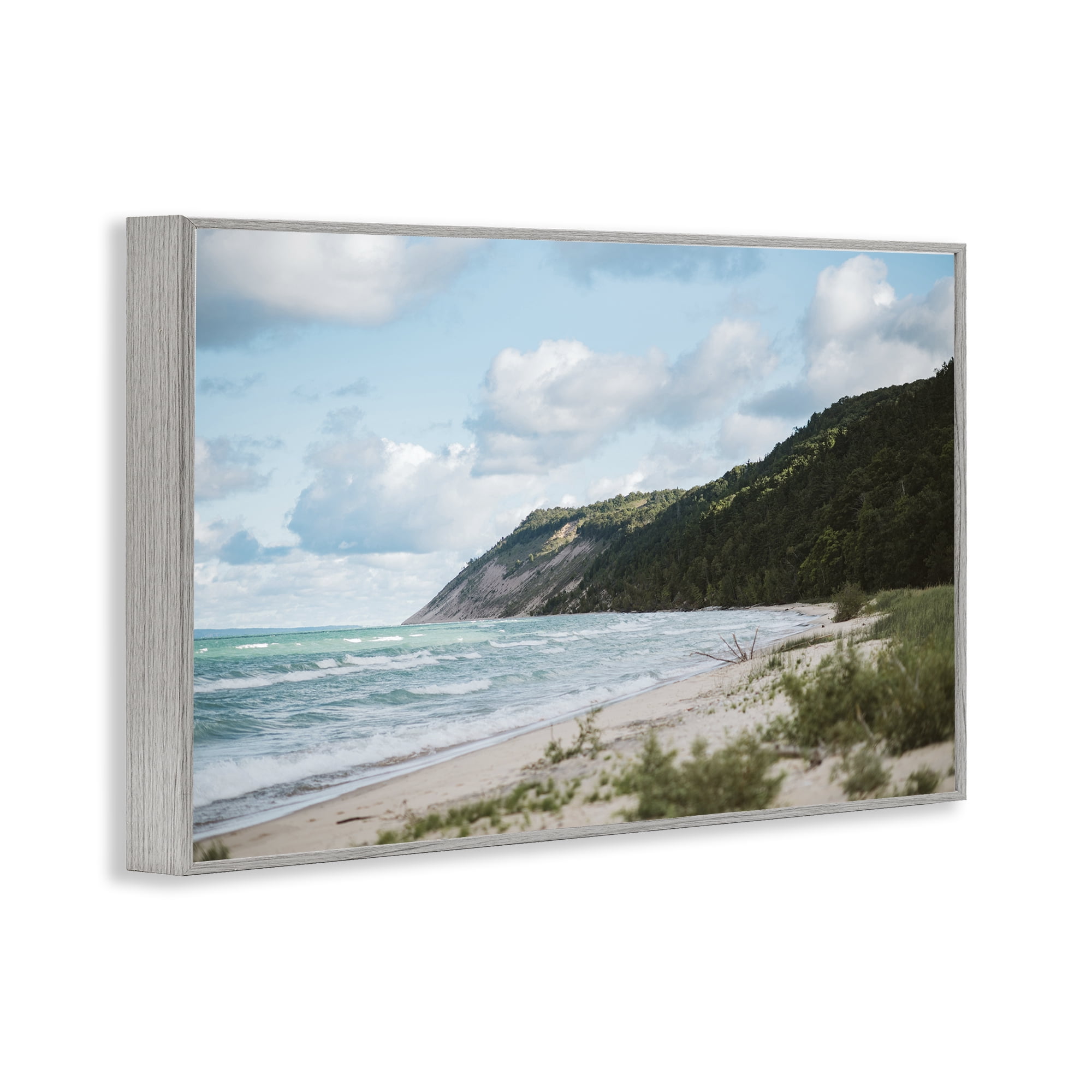 Stupell Industries Sleeping Bear Cliff Gray Framed Giclee Art, design by Amy Carroll