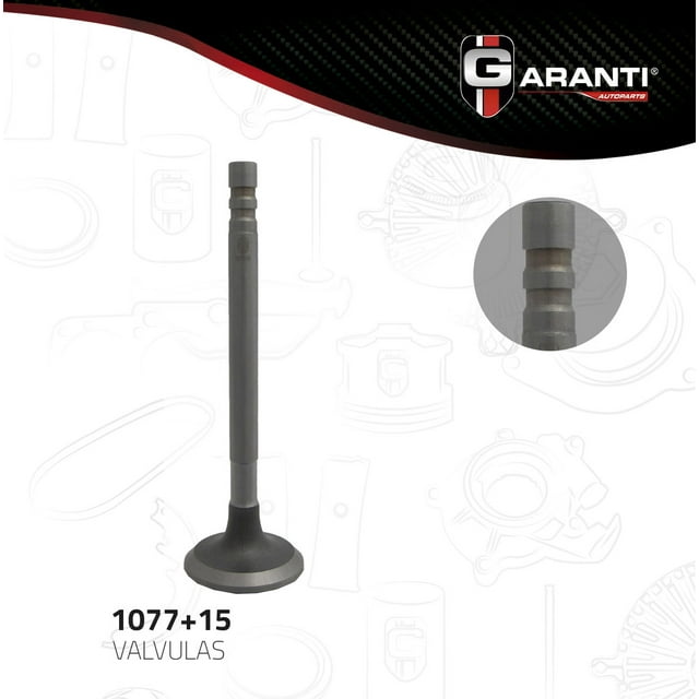 Valvula Escape Garanti Para Gmc G25 1971 - 1978 (Garanti)