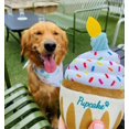thumbnail image 4 of Juguete de cumpleaños para perros: pastel de cachorro, cupcake de peluche, chirrido y arrugado., 4 of 4