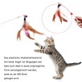 thumbnail image 4 of Ensemble de Jouets Interactifs pour Chat 15 Pcs, Baguette pour Chat, Jouets pour Chat, Souris, 4 of 10