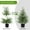 Green, variant on 2 Pack Christmas Decorations - Outdoor Christmas Tree - 2ft Artificial Norfolk Pine Tree - Christmas Decorations for Home Indoor and Outdoor Entryway Party Living Room Office Porch