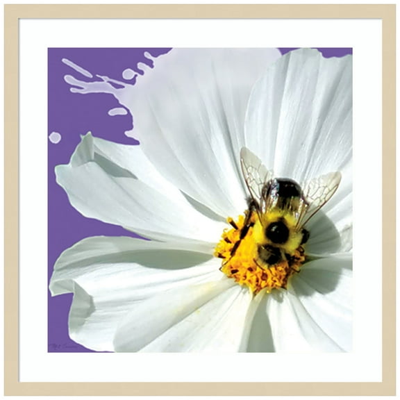 Amanti Art Flower Pop IV Wood Framed Wall Art Print