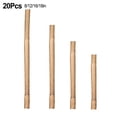 thumbnail image 2 of 20pcs Bamboo Plant Support Stakes - Natural Reusable Sturdy 16/18/8/12in, 2 of 5