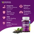 thumbnail image 4 of Havasu Elderberry Gummies for Kids, Vitamin C Gummies Immune System Booster, 60 Ct, 4 of 10