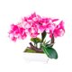 thumbnail image 2 of Planta artificial en maceta | Simulación Ramo de flores con jarrón - Decoración floral de mesa de salón interior | 20x21x15 cm, Material plástico | 1 ud, Rosa/Amarillo, 2 of 6