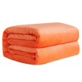 thumbnail image 2 of Dido Solid Color Flannel Blanket Bed Car Office Sofa Autumn Winter Warm Carpet Air-condition Room Rugs, 2 of 6