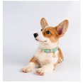 thumbnail image 4 of Collar De Perro De Cuero Para Perros Pequeños Y Medianos Collar De Cachorro Acolchado De Cuero Suave Y Transpirable Ajustable Con Hebilla De Aleación Collar Clásico Para Perros A Prueba De Agua ER, 4 of 5