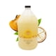 thumbnail image 1 of BoaVida Citrus Plus Elder Champú desodorizante y gel de baño reduce el olor nonal fabricado con caqui y mantequilla de cupuacu, con tapa a prueba de fugas, 1 gal, 1 of 1