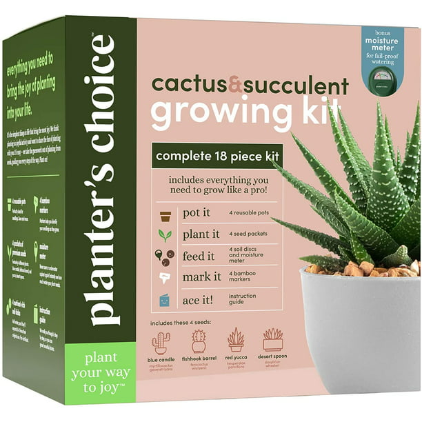 Cactus Succulent Growing Kit W, Unique Gardening Gifts