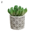 thumbnail image 2 of Gwong Decoración hogareña Fake Potted Plant simulado Fácil de cuidar PVC Mini surtido suculento artificial en conserva para el hogar Gwong 21083471, 2 of 6