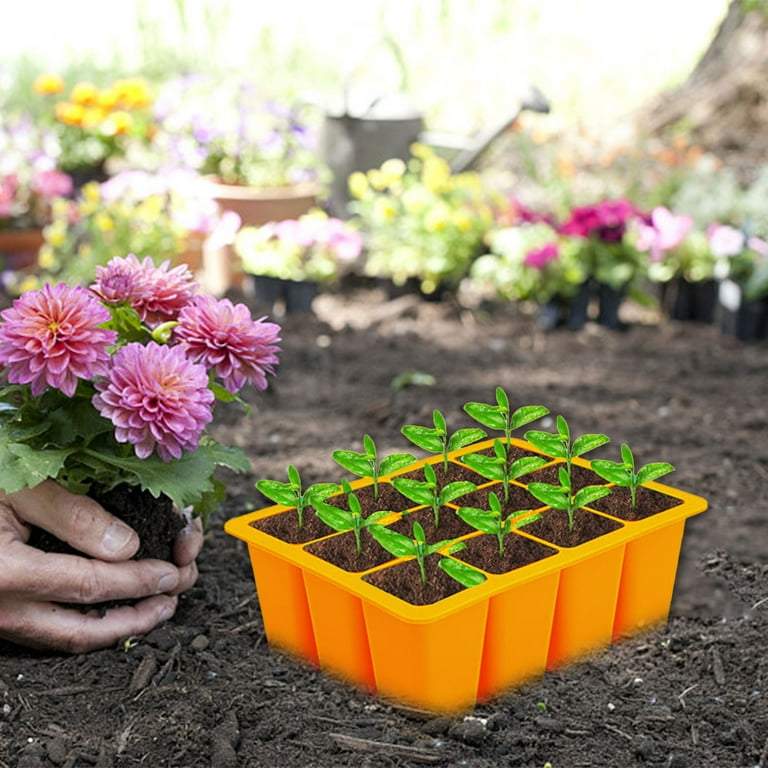 1pc Green Seedling Trays, Sprout Vegetable Trays, Plastic Garden Seedling  Trays, Plant Starter Kit With Adjustable Humidity Dome And Base, Indoor Gree