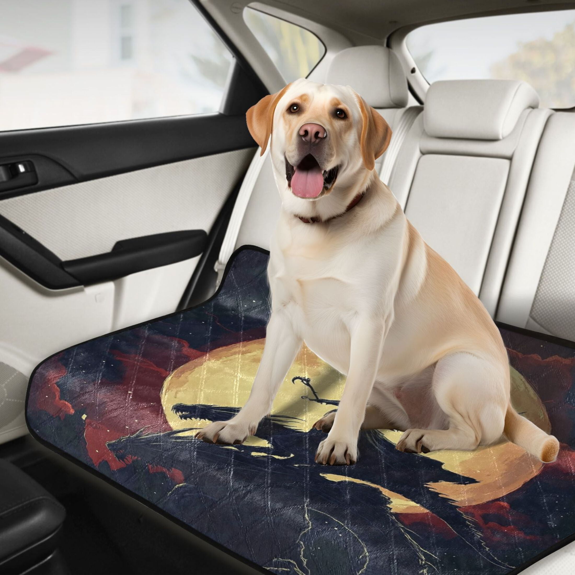 Qxltty Witch and Black Dragons Cat litter Pads Pet Set of 3 Diaper Mats Center Anti-leakage Layer Absorbent Soft and Comfortable