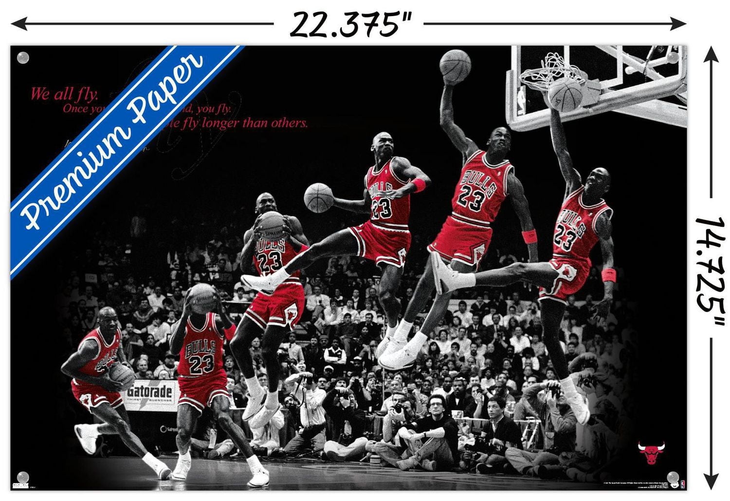 Michael Jordan - Mouche 14.725" x 22.375" Affiche Murale avec Montures d'Affiche, par Trends International