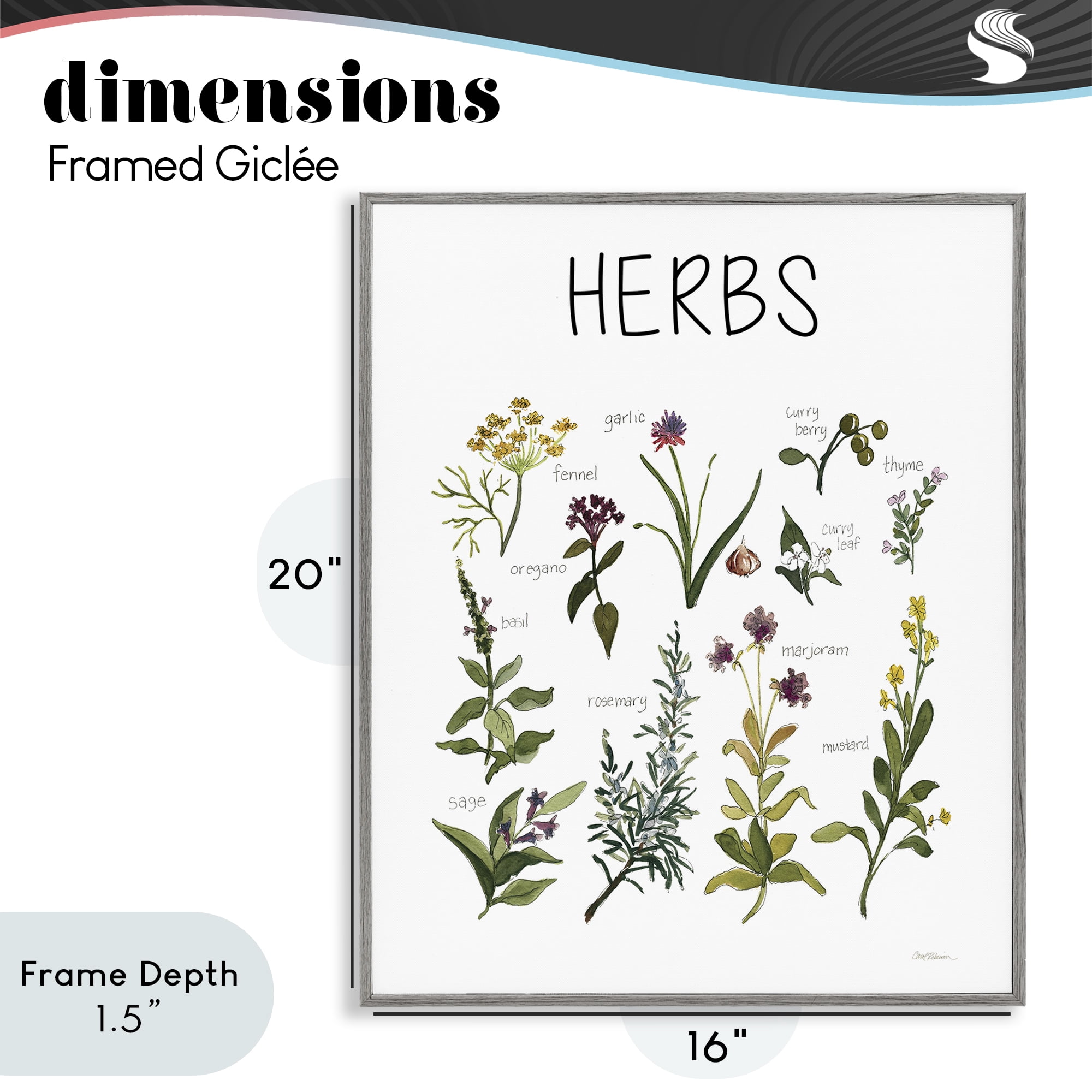 Stupell Industries Herbs Identification Chart Gray Framed Giclee Art, design by Carol Robinson