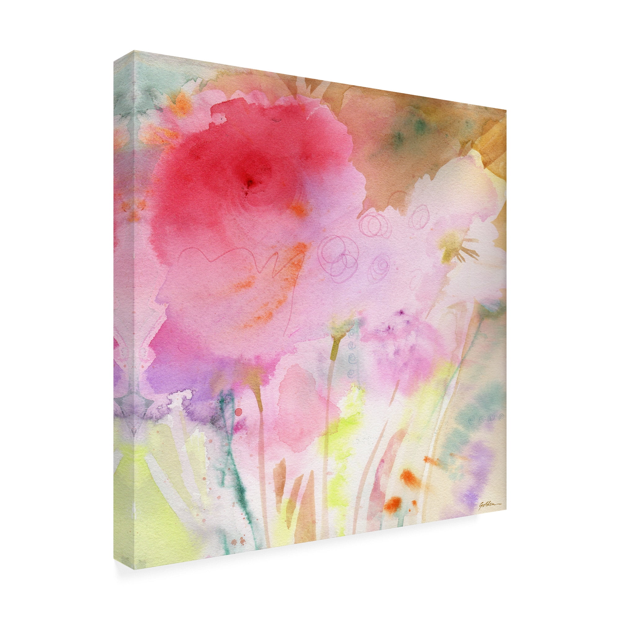 Trademark Fine Art 'Pink Whisper' Canvas Art by Sheila Golde