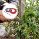 thumbnail image 4 of 20 Rollos Correas de plantas de jardín Cinta de jardín reutilizable Cintas de plantas de PVC con grapas, 4 of 4