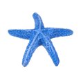 thumbnail image 3 of unbranded 2Ud Para Acuario Con De Mar Y En Resina Azul, 3 of 7