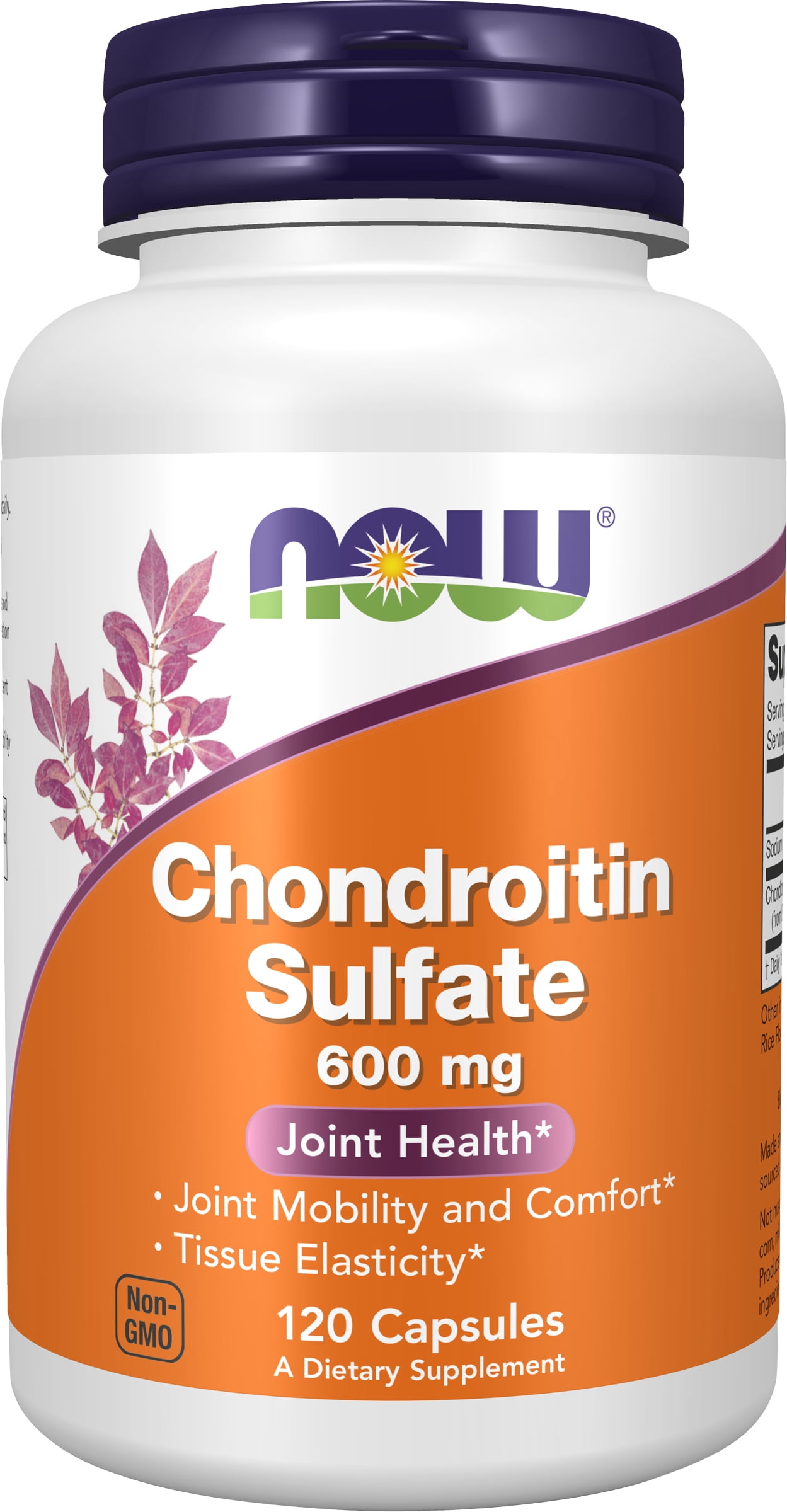 Chondroitin Sulfate 600 mg - 120 Capsules