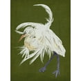 thumbnail image 2 of Wang, Melissa 15x18 White Modern Wood Framed Museum Art Print Titled - Heron Plumage II, 2 of 4