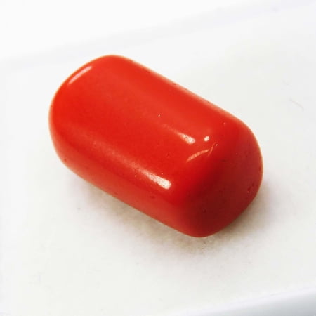 Gemsgrowth Natural Red Italian Coral Loose Gemstone 11 Carat Cabochon for Jewelry Making Pendant Ring Necklace Engagement