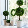thumbnail image 2 of Faux Boxwood Topiary-Double Sphere-Color:Green,Style:Botanical, 2 of 2