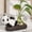 🔥 B_Hot, variant on ZYXWVU Panda Hydroponic Vase Glass Vase for Fresh Flowers Desktop Decorative Flower Pot Hydroponic Planter for Home Office Table Decor