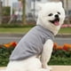 thumbnail image 3 of Chaleco para perro Chaleco para perro de color sólido Ropa de verano para perro mascota, 3 of 3