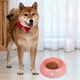thumbnail image 2 of Comedero Para Perros, Cuencos Para Agua, Cuencos Para Comida, Comederos De Plástico Para Perros Pequeños Y Medianos, Cachorros Y Gatos, 2 of 3
