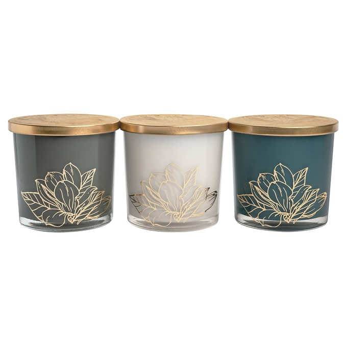 Bellevue Luxury 20 oz Candles, 3pack