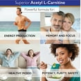 thumbnail image 5 of Superior Labs Acetyl-L-Carnitine - 100% Pure, Vegetable Capsules, 1,000mg, Gluten-Free, 200 Count, 5 of 6