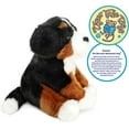 thumbnail image 5 of Bastien The Bernese Mountain Dog | 13 Inch Stuffed Animal Plush | By TigerHart Toys, 5 of 5