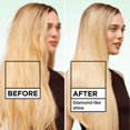 thumbnail image 5 of Garnier Fructis Diamond Sleek Shine-Coat Smoothing Spray, With Keratin, 5 of 5