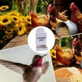 thumbnail image 6 of Oyster Shell and Grit Feeder, Hanging Chicken Feeder Trough, Chicken Coop Accessories (Black-B), 6 of 7