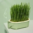 thumbnail image 6 of 2pcs Cat Grass Planter, Cat Grass, Cat Grass Kit, Cat Grass Growing Kit, Easy to , Nursery Plants, Suitable for Indoor, 6 of 10