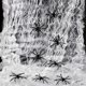 thumbnail image 3 of Decoración de telaraña de Halloween de 60 g, con 20 arañas falsas, telarañas estirables de Halloween, 3 of 5