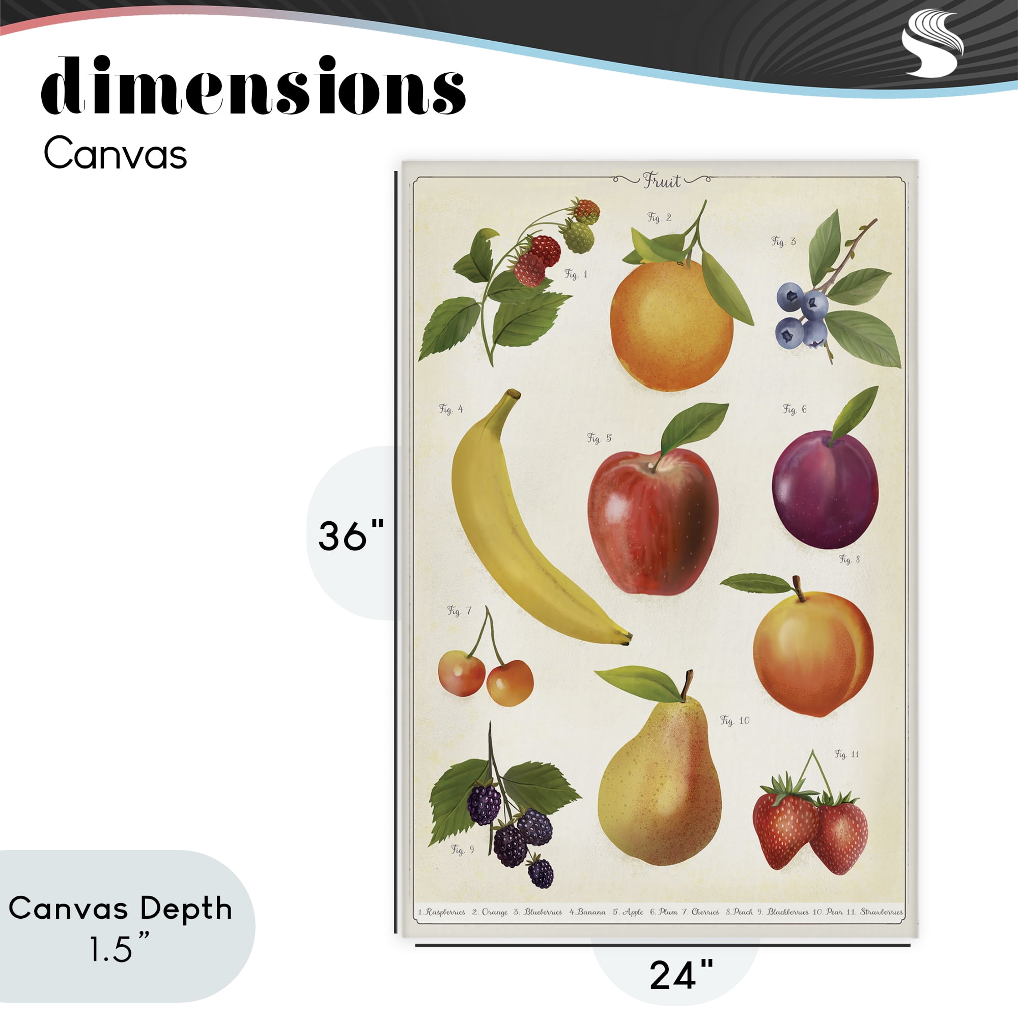 Stupell Industries Fruit Collection Studies Canvas Wall Art, design by Diane Neukirch