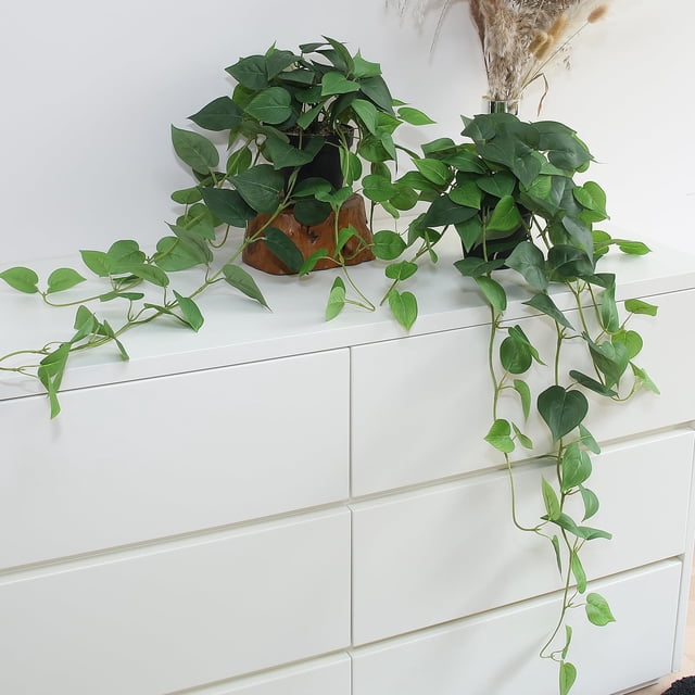 Plantas colgantes artificiales de pothos de alyptus, set de 2