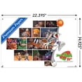 thumbnail image 3 of Space Jam - 25th Collage Wall Poster with Pushpins, 14.725" x 22.375", 3 of 6
