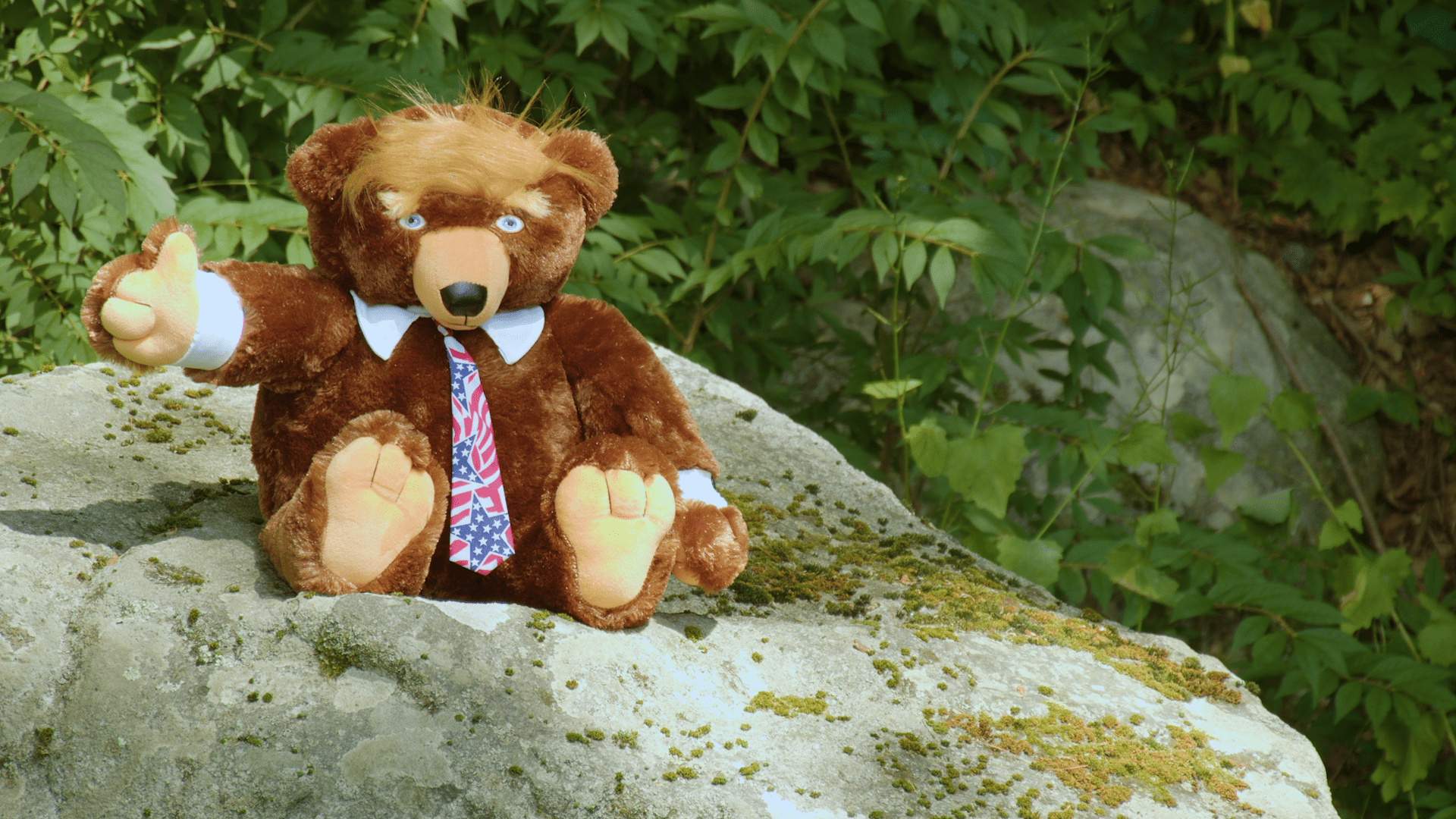 Trumpy Bear 2024 as seen on TV, the original Third Edition Trumpy