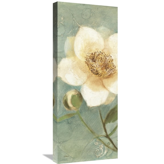 Global Gallery Albena Hristova 'Pretty Peony Crop' Canvas Wall Art