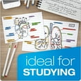 thumbnail image 4 of Ruled Index Cards, 3" X 5", White, Pack Of 100, 4 of 5
