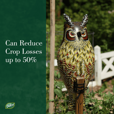 Dalen Inflatable Fake Owl Decoy to Scare Birds Away - Efficient Bird and Pest Deterrent – Safely Deters Birds – 2 feet Tall