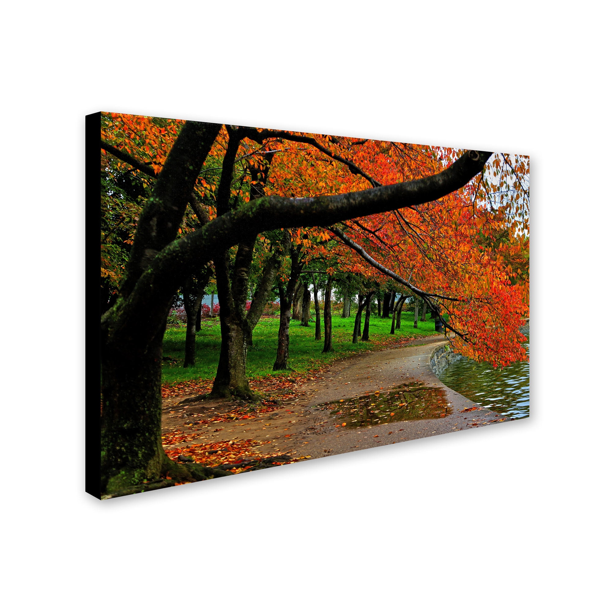 Trademark Fine Art "Tidal Basin Autumn 2" Canvas Art by CATeyes