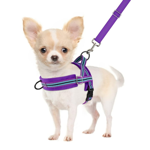 Set de arnés y correa para perros SlowTon No Pull para perros pequeños XS