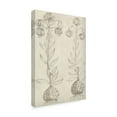 thumbnail image 2 of Trademark Fine Art 'Fresco Floral Beige II' Canvas Art by Vision Studio, 2 of 4