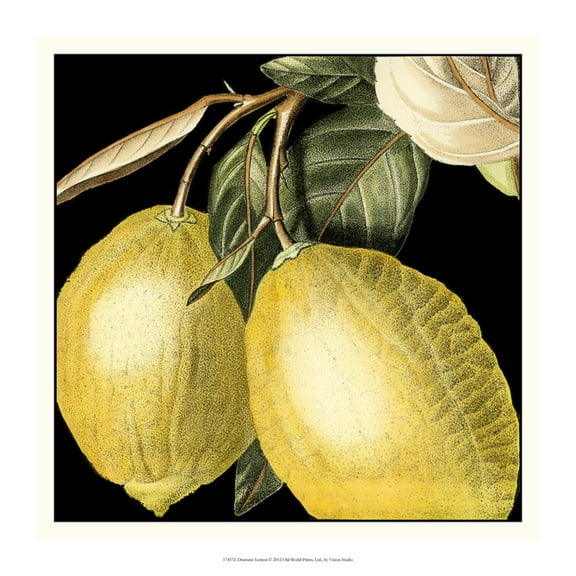 Art.com Dramatic Lemon Art Print by Vision Studio, 24" x 24"