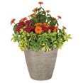 thumbnail image 2 of Suncast Chariton 16 Inch Resin Round Decorative Flower Pot Planter (2 Pack), 2 of 3