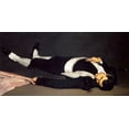 thumbnail image 2 of Manet, Edouard 32x18 Gold Ornate Wood Framed with Double Matting Museum Art Print Titled - The Dead Toreador, 2 of 4